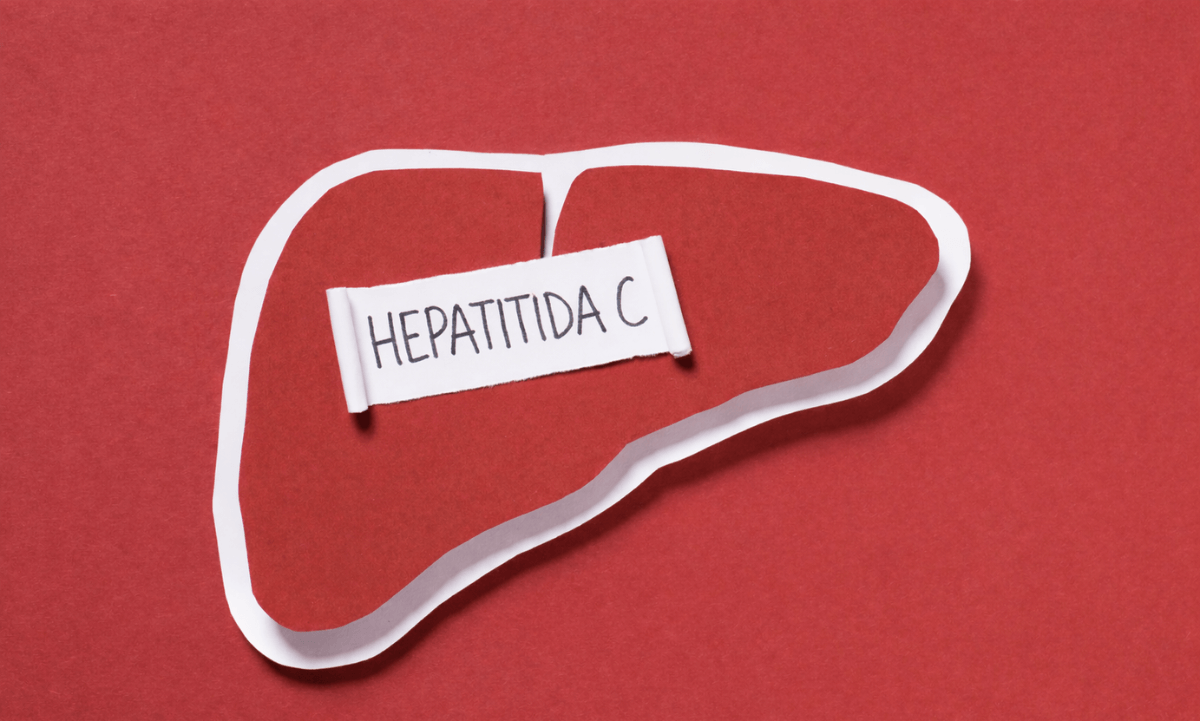 maketa jater s nápisem hepatitida c